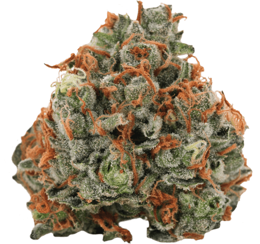 Casey Jones image 1